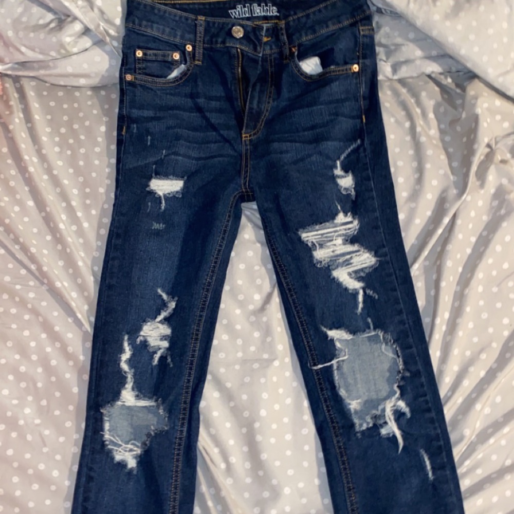 Wild Fable Jeans
